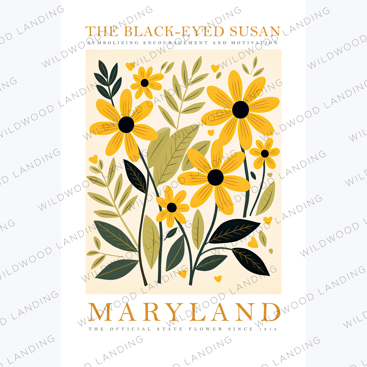 MARYLAND STATE FLOWER – Wildwood Landing LLC