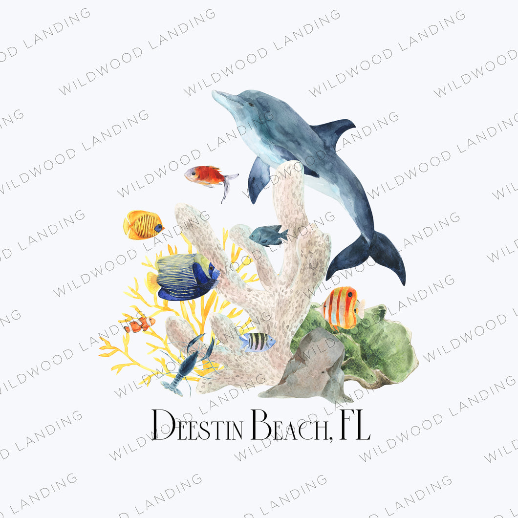 CD-630: COASTAL HARMONY