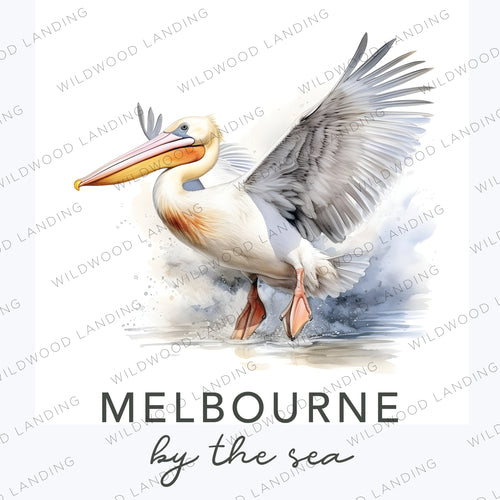 CD-9136: PELICAN IN FLIGHT