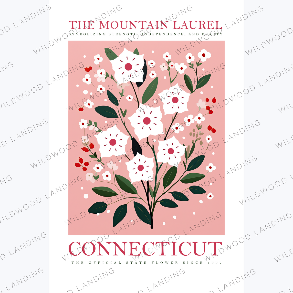 CONNECTICUT STATE FLOWER – Wildwood Landing LLC