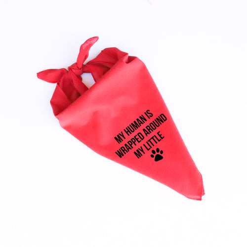 MY HUMAN IS WRAPPED AROUND MY LITTLE PAW DOG BANDANA