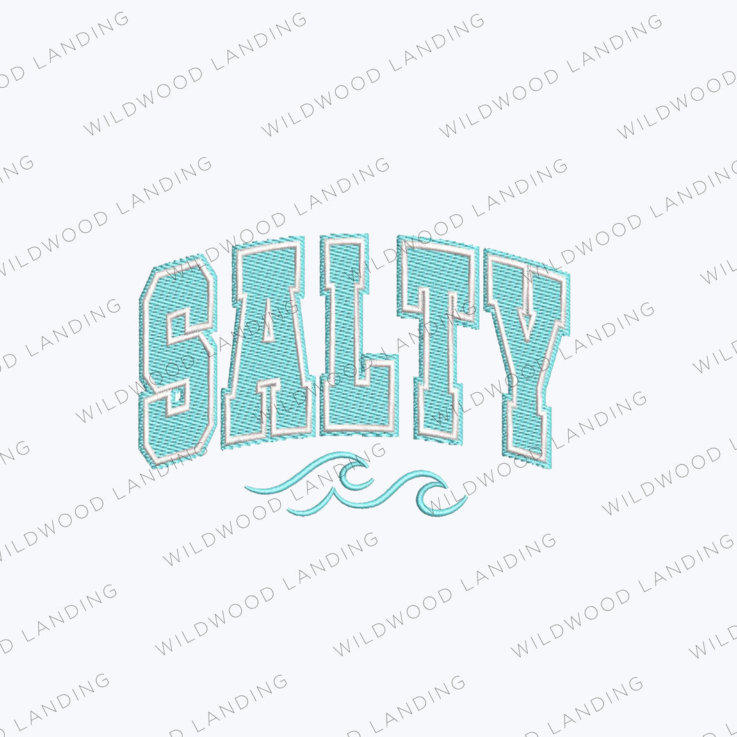 EMB-130: SALTY