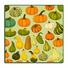 Load image into Gallery viewer, OH MY GOURD MICROFIBER - DISH CLOTH