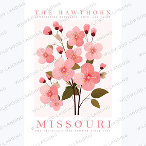 MISSOURI STATE FLOWER