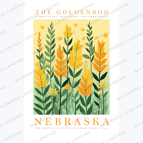 NEBRASKA STATE FLOWER