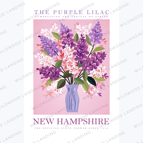 NEW HAMPSHIRE STATE FLOWER