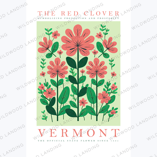 VERMONT STATE FLOWER