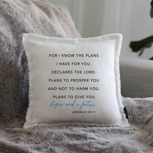 I KNOW THE PLANS - GIFT PILLOW
