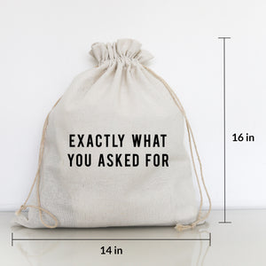LARGE GIFT BAG - EXACTLY WHAT YOU ASKED FOR