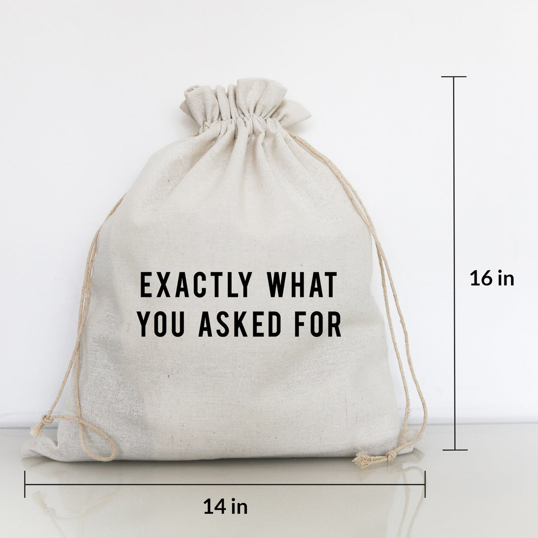 LARGE GIFT BAG - EXACTLY WHAT YOU ASKED FOR
